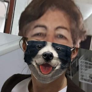 Meet your Posher, Mayda